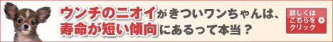 プロキュア案内