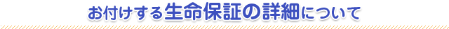 お付けする生命保証の詳細について